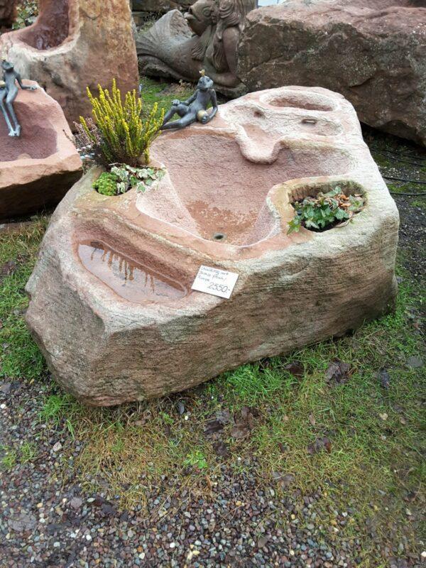 0239 – Bild 2