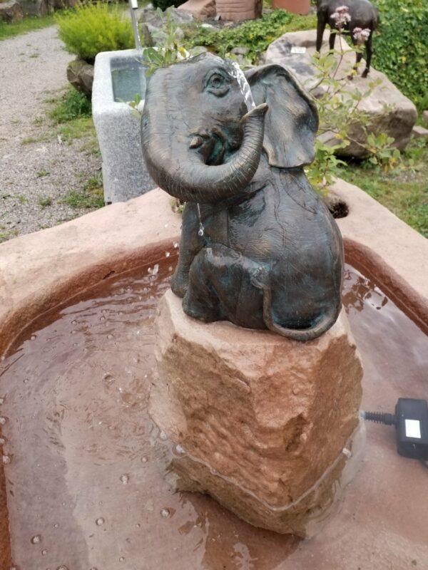 0448 – Bild 3