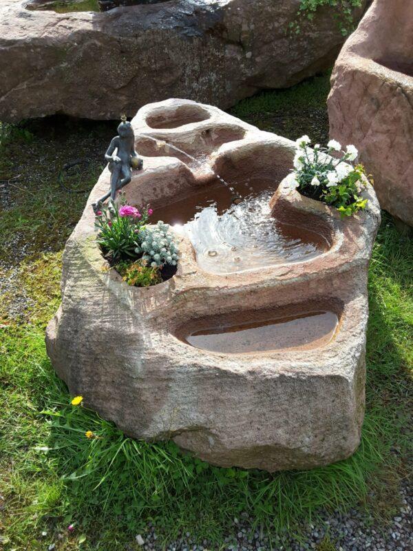 0239 – Bild 3