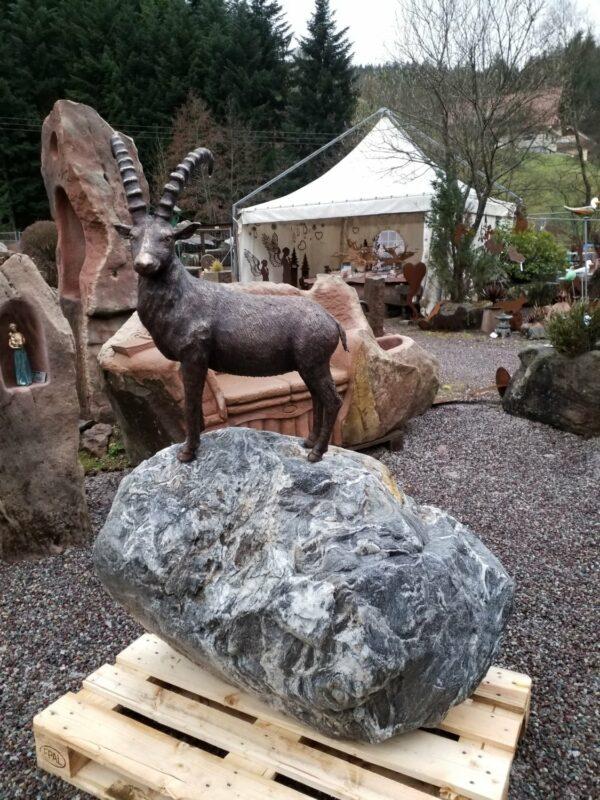 0595 – Bild 3
