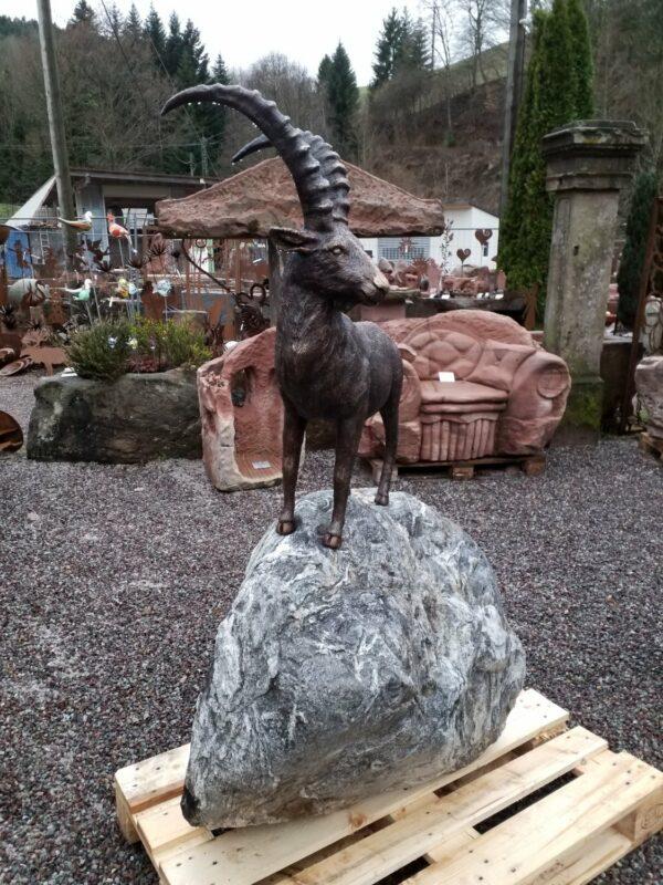 0595 – Bild 2