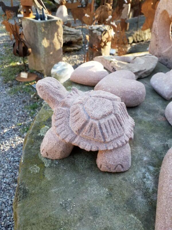 0051 – Bild 2