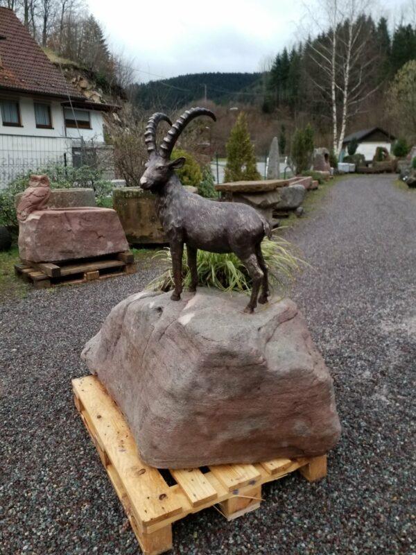 0596 – Bild 2