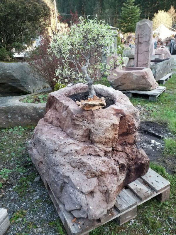 0626 – Bild 2