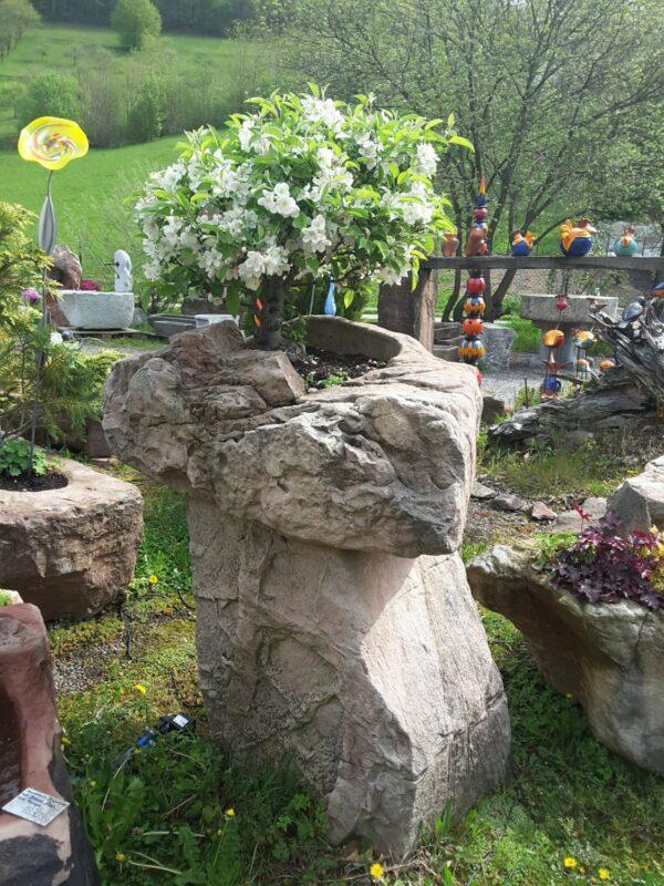 0004 – Bild 3