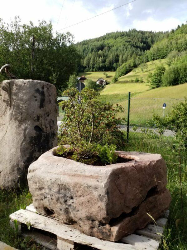 0188 – Bild 2