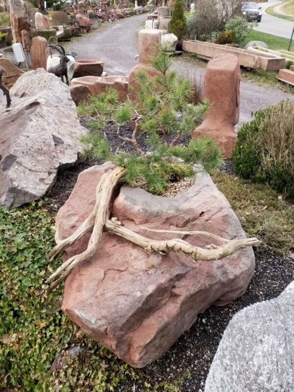 0489 – Bild 2
