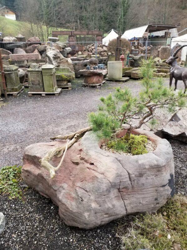 0489 – Bild 3