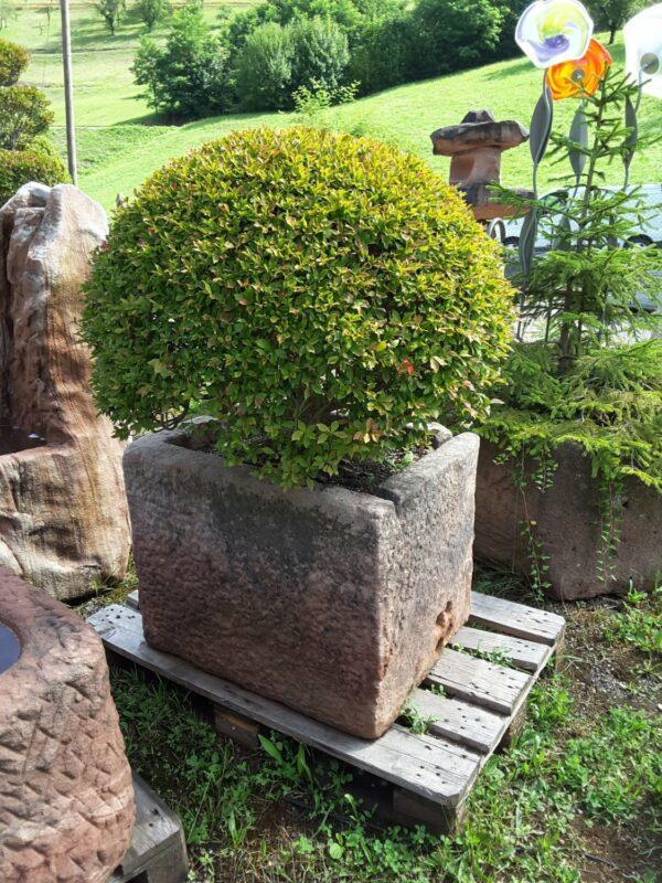 0346 – Bild 2