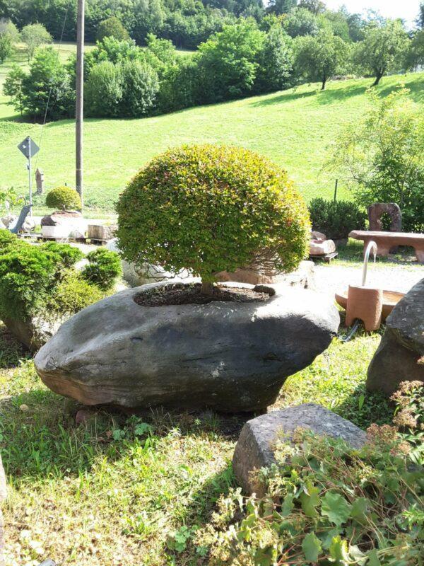 0464 – Bild 2