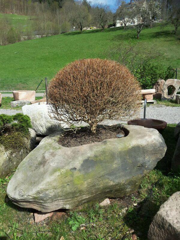 0464 – Bild 3