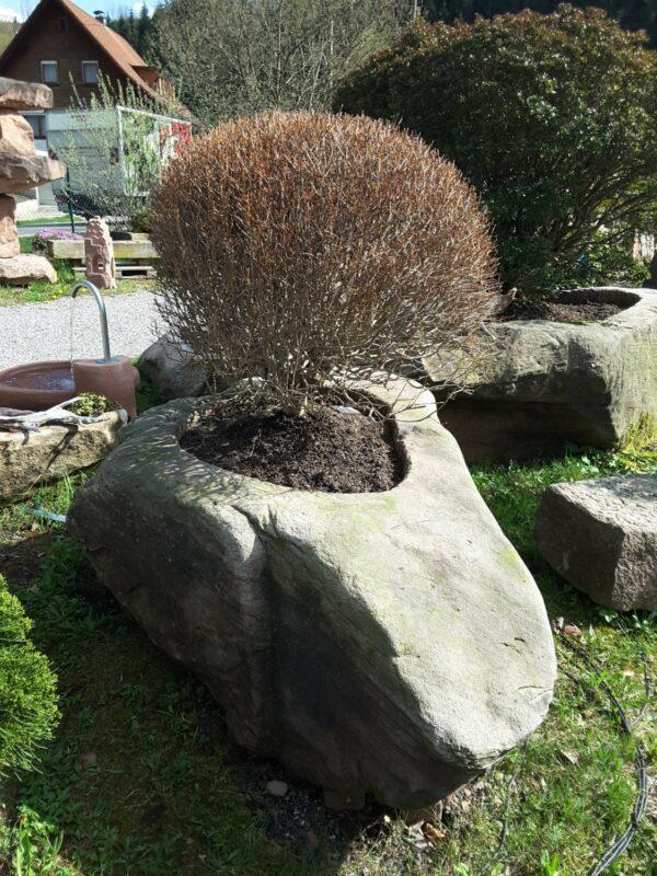 0464 – Bild 4