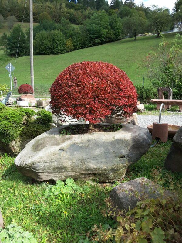 0464 – Bild 6
