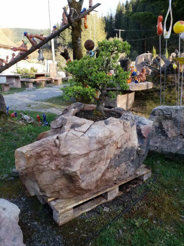 0617 – Bild 2