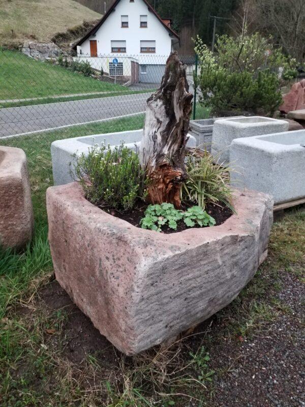 0039 – Bild 2