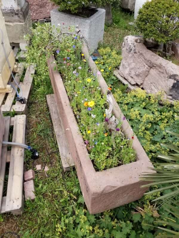 0948 – Bild 2