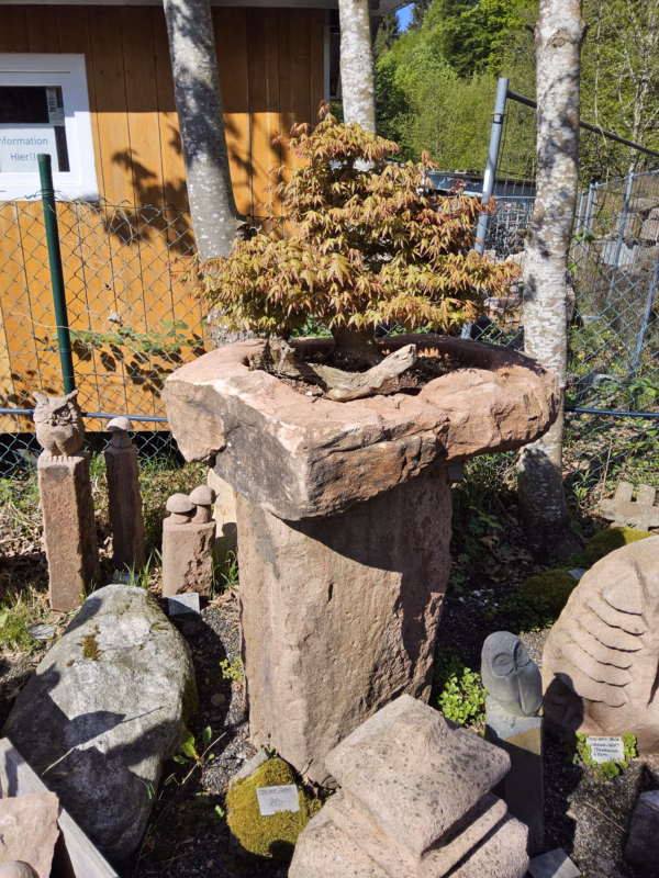 1178 – Bild 2