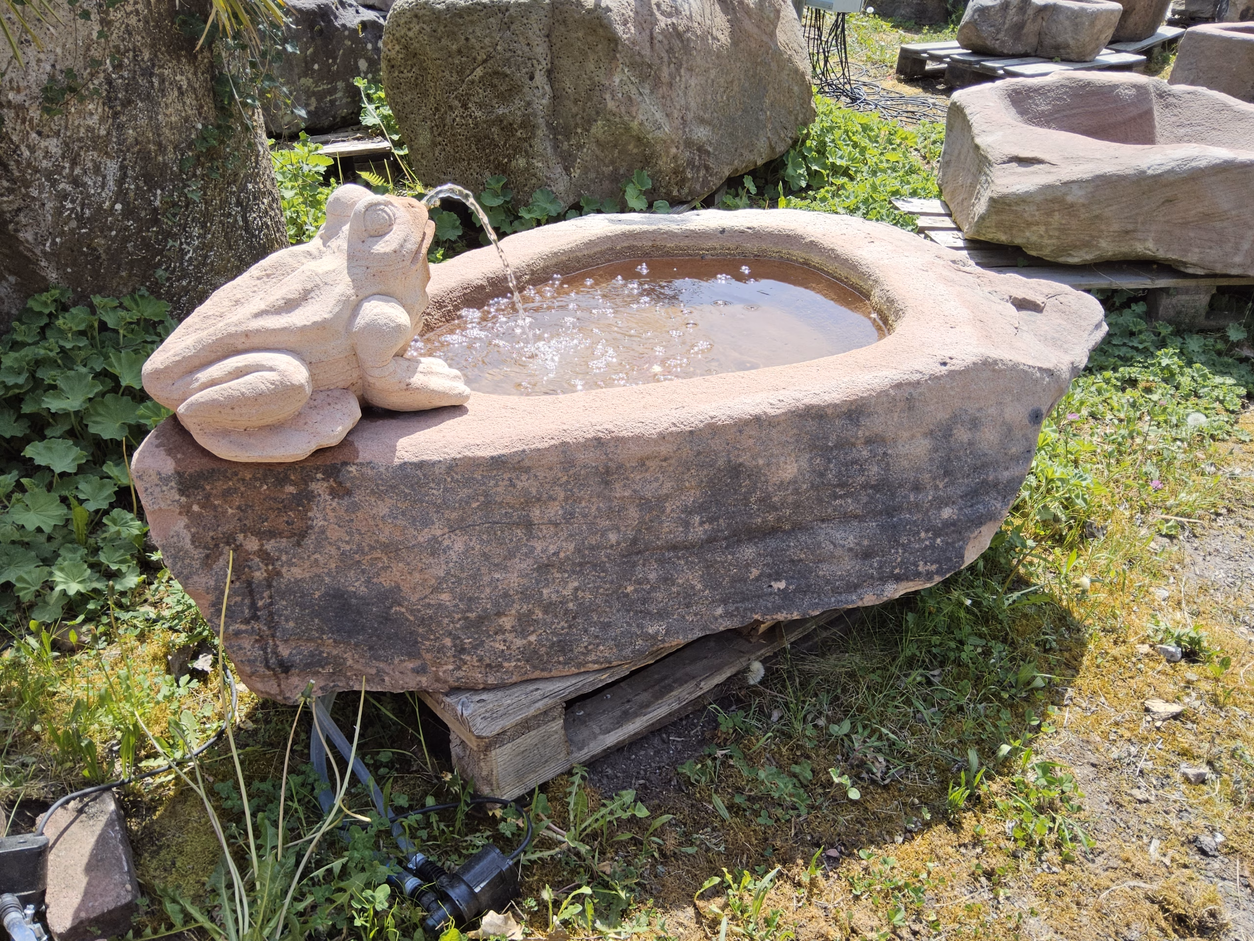 1298 – Bild 2
