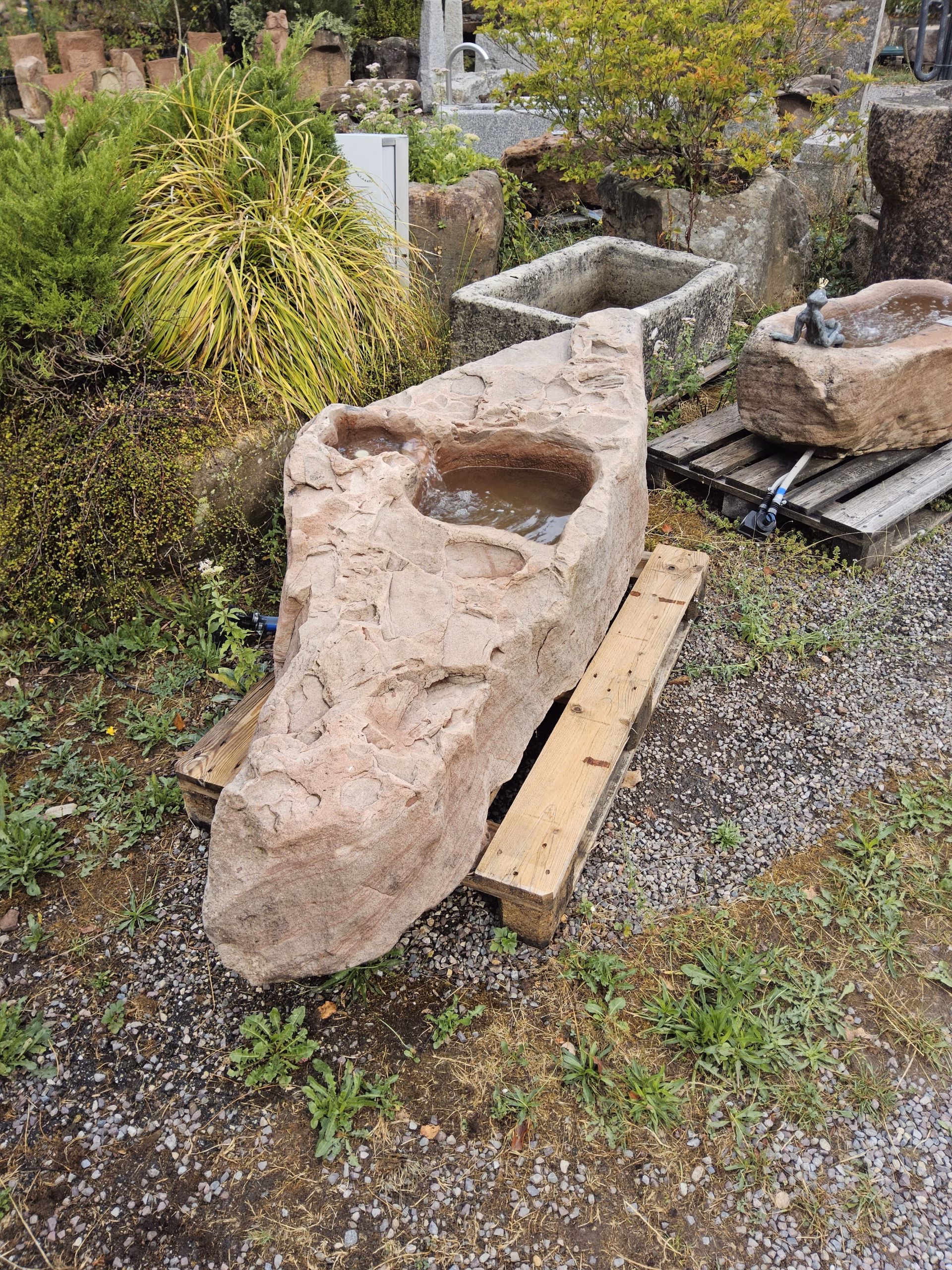 1309 – Bild 2
